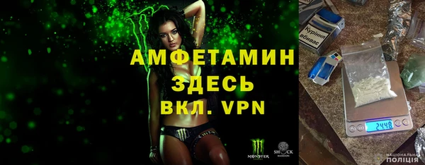 дмт Бородино