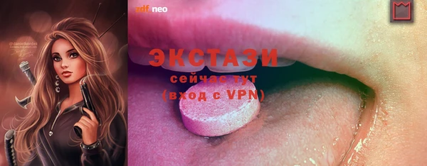 дмт Бородино