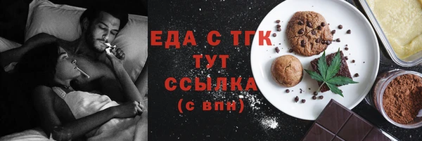 дмт Бородино
