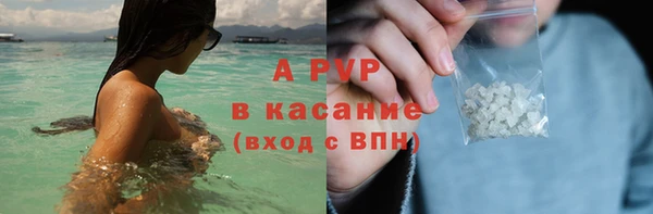 дмт Бородино