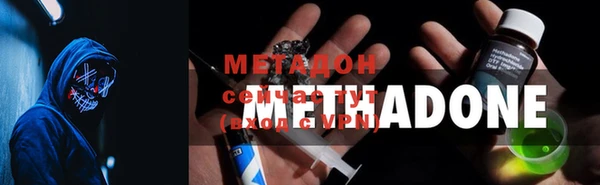дмт Бородино