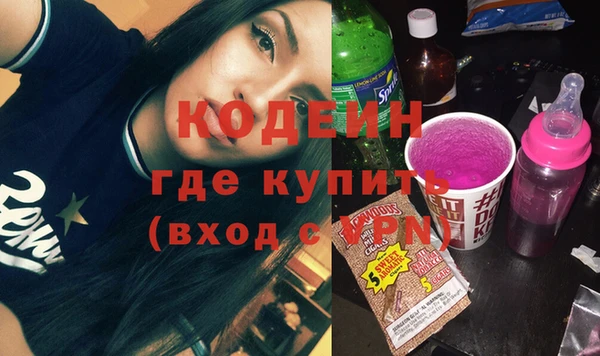 дмт Бородино
