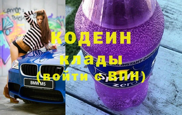 дмт Бородино