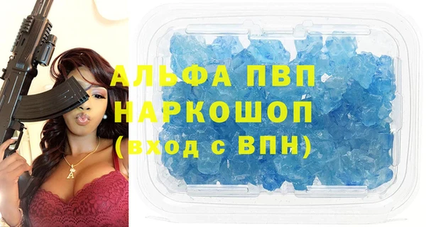 дмт Бородино