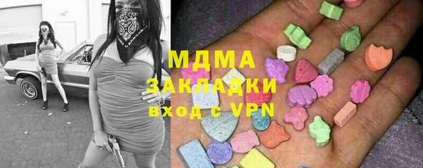 дмт Бородино